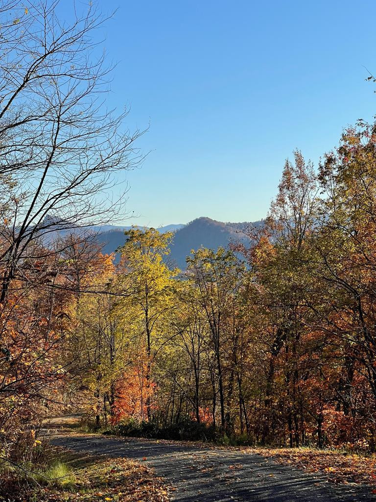 Lot 58m 58M Ridges Property Photo 1