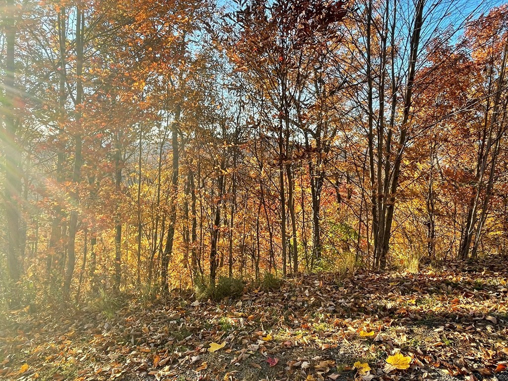 Lot 58m 58m Ridges Property Photo 2