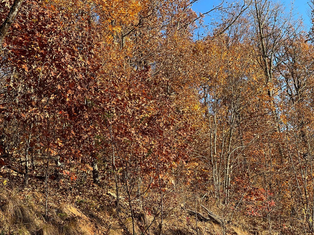 Lot 58m 58m Ridges Property Photo 3