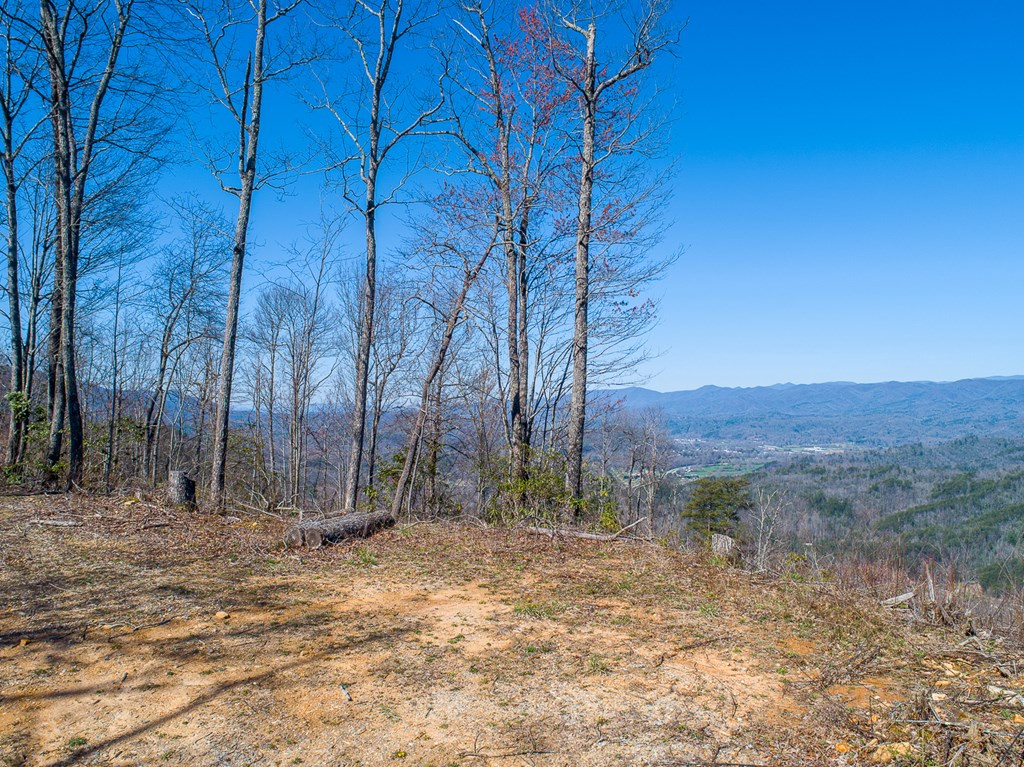 24 Cahill Drive Property Photo 5