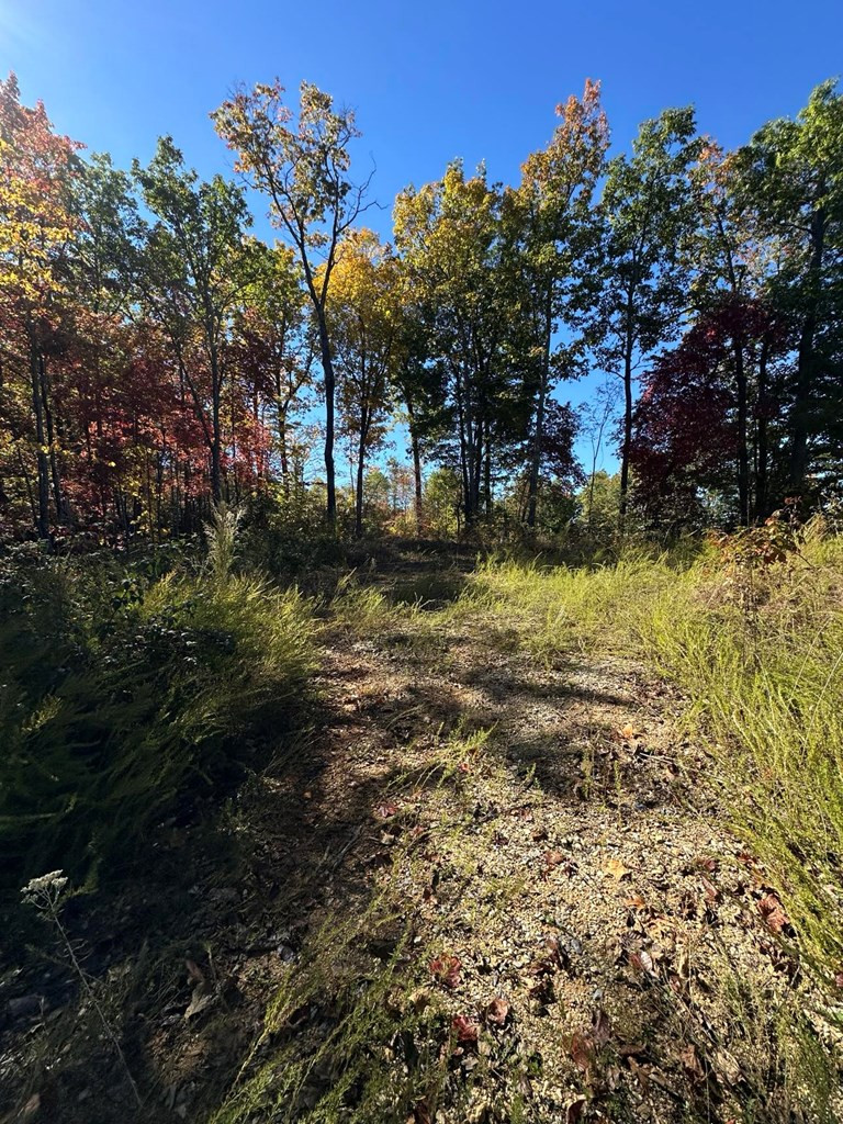 24 Cahill Drive Property Photo 13
