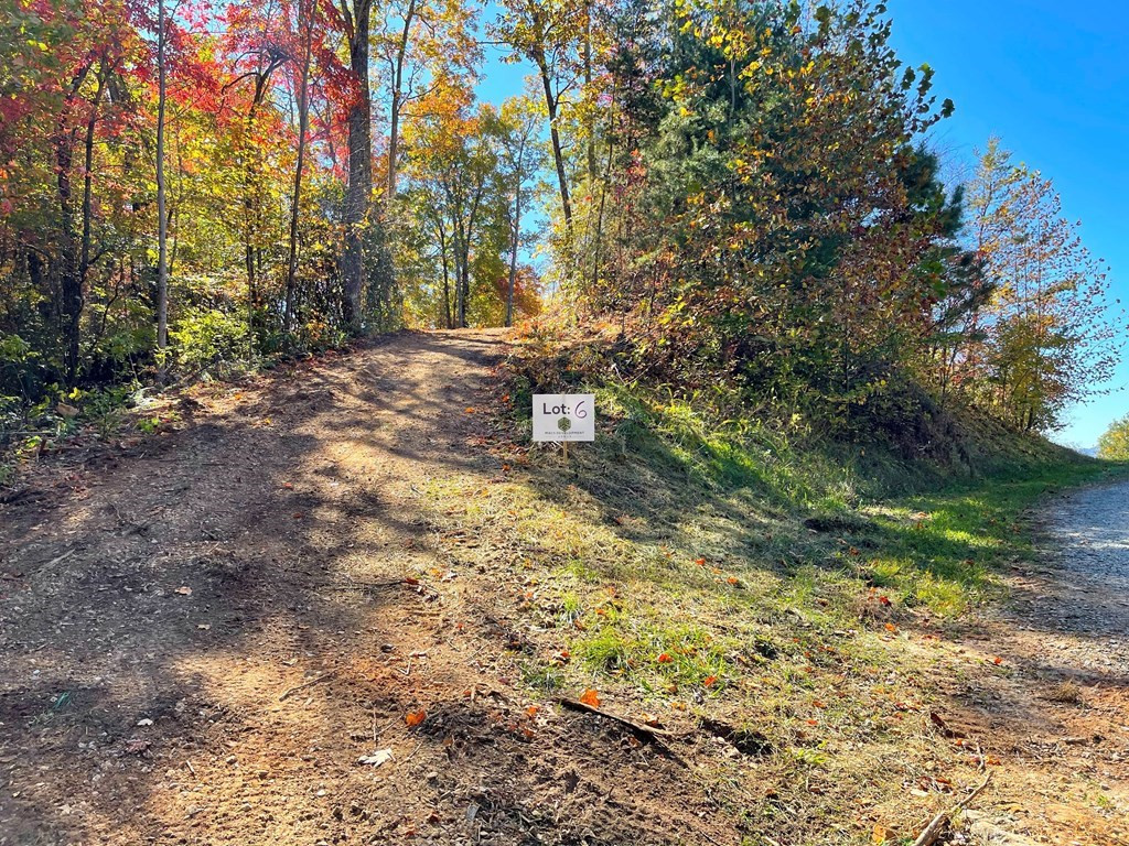 24 Cahill Drive Property Photo 31