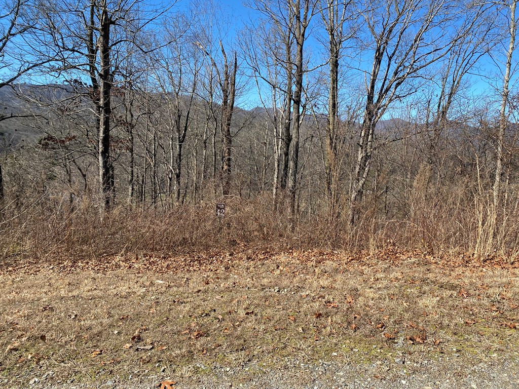 Lot 42 42 Silo View Property Photo 2