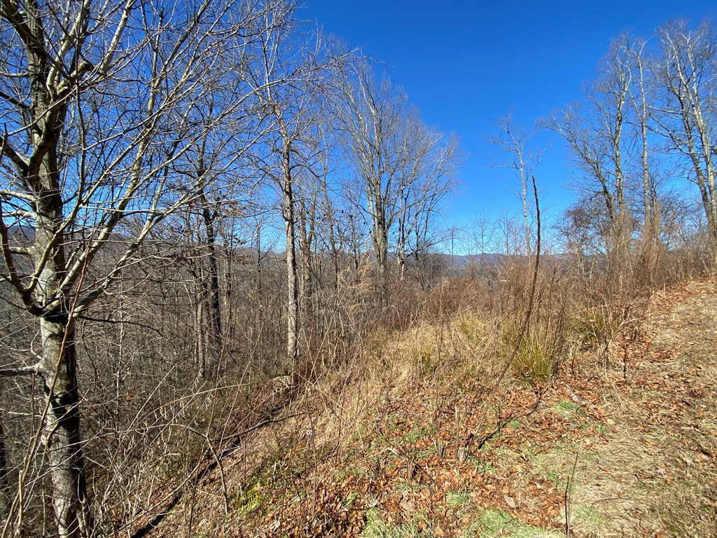 Lot 42 42 Silo View Property Photo 3