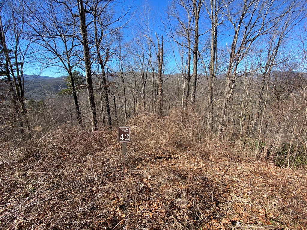 Lot 42 42 Silo View Property Photo 4