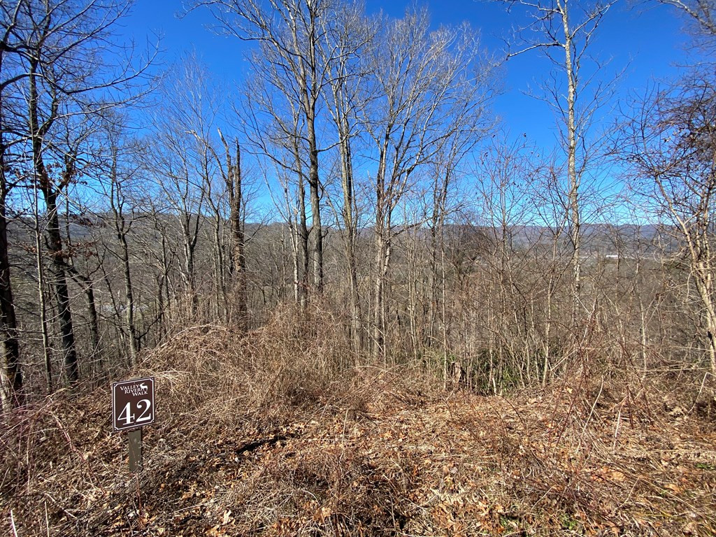 Lot 42 42 Silo View Property Photo 5