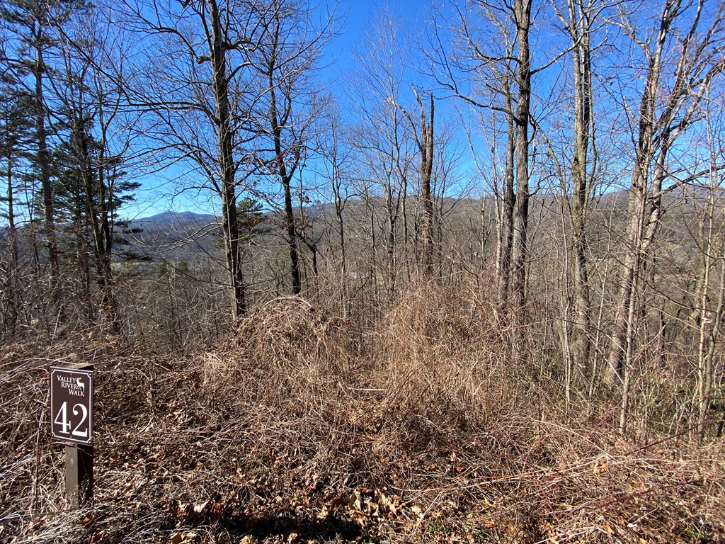 Lot 42 42 Silo View Property Photo 6