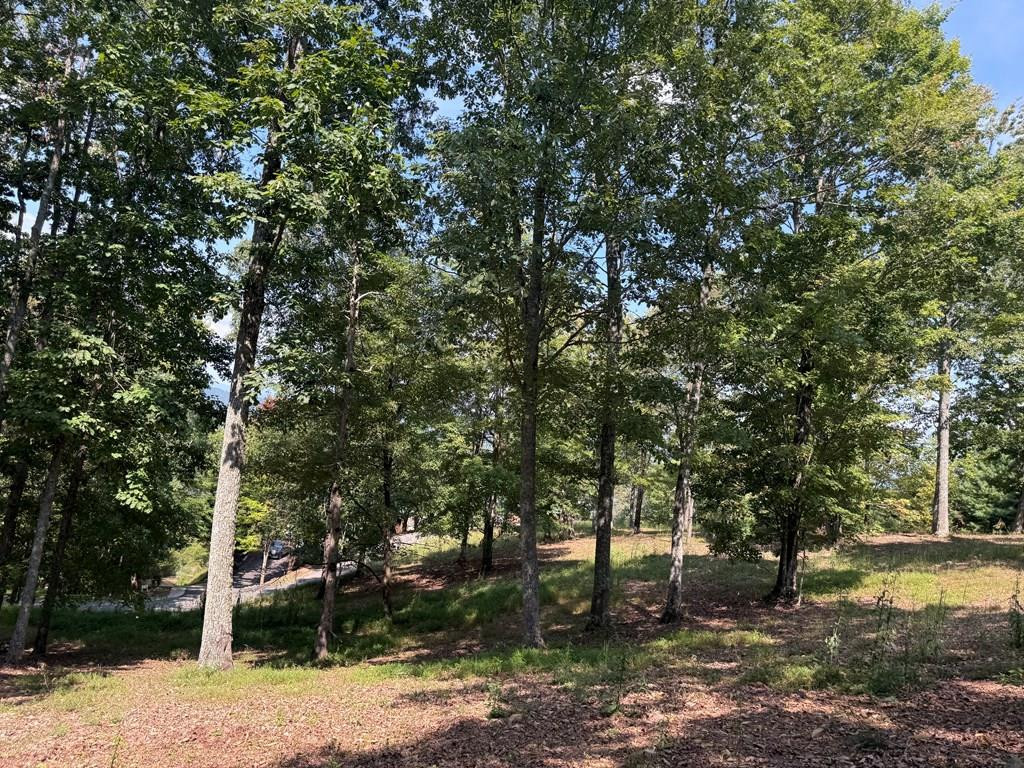 0 Madison Lane Property Photo 1