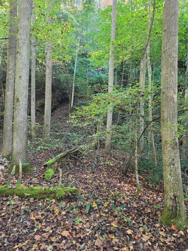 0 Lords Way Property Photo 2