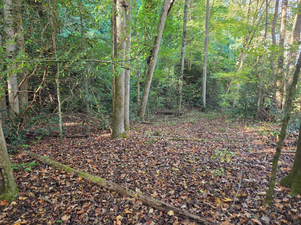 0 Lords Way Property Photo 3