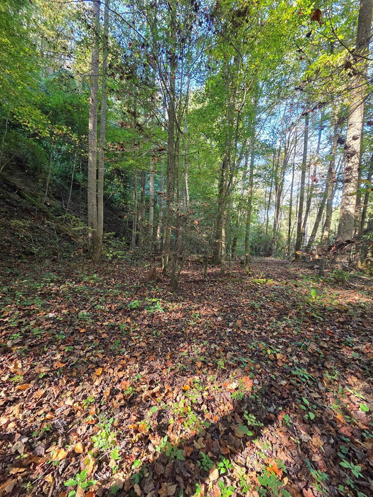 0 Lords Way Property Photo 5
