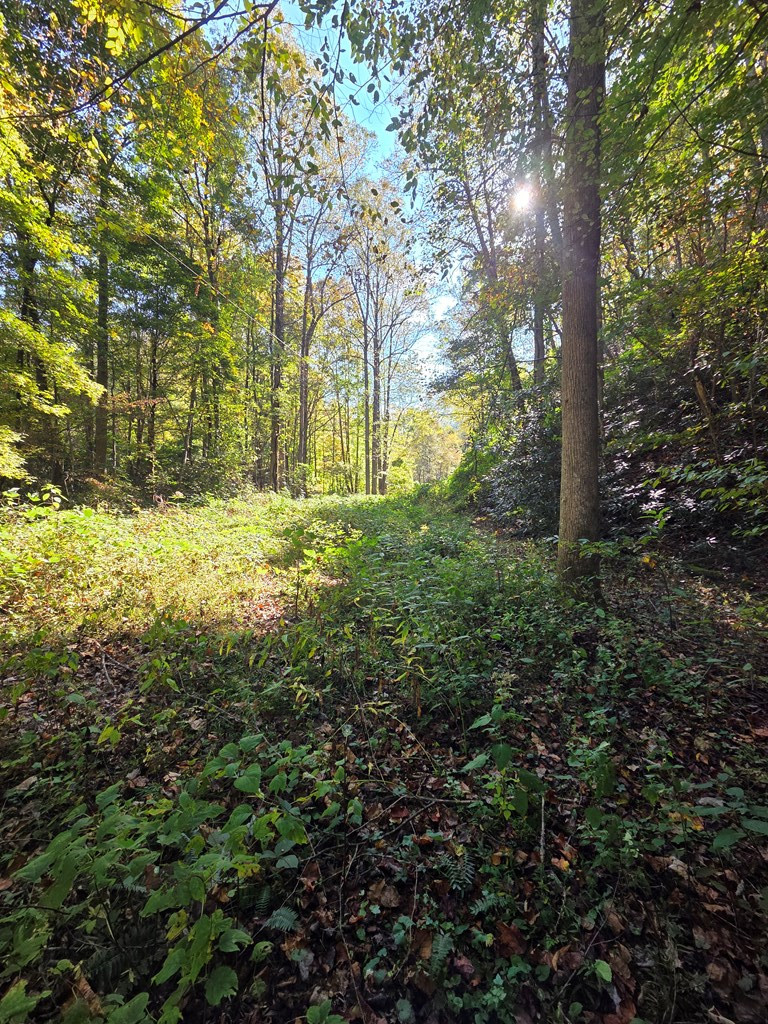 0 Lords Way Property Photo 6
