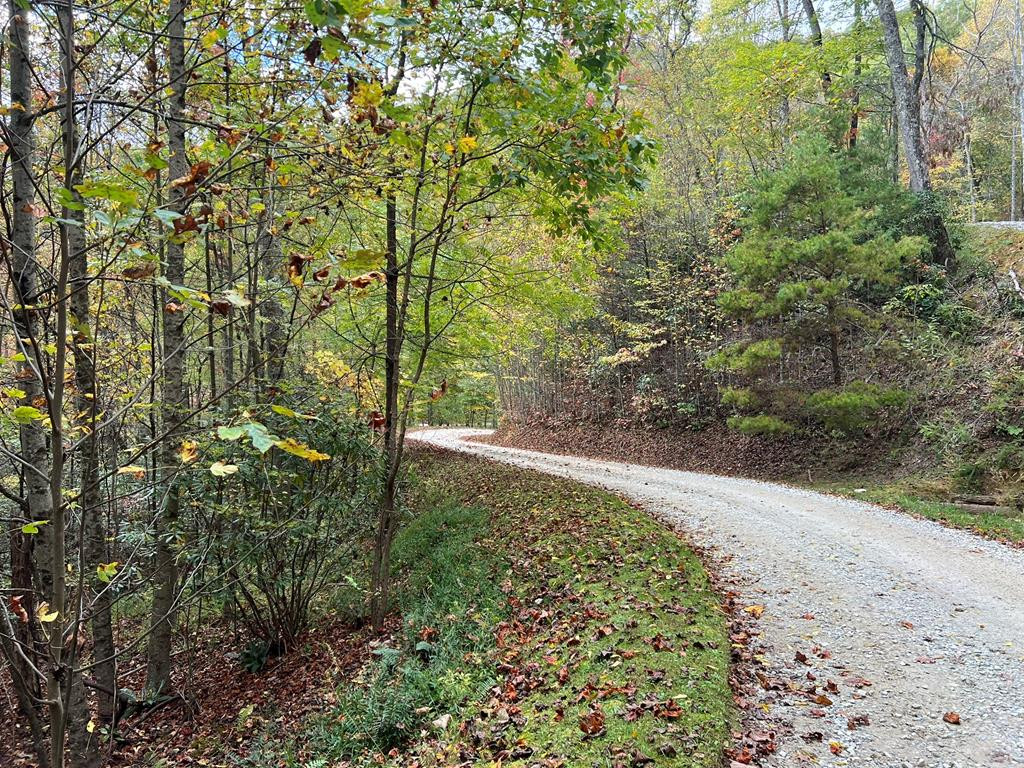 Lot 18 Black Bear Trail Property Photo 1