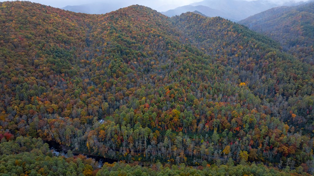 3549p Snowbird Road Property Photo 3