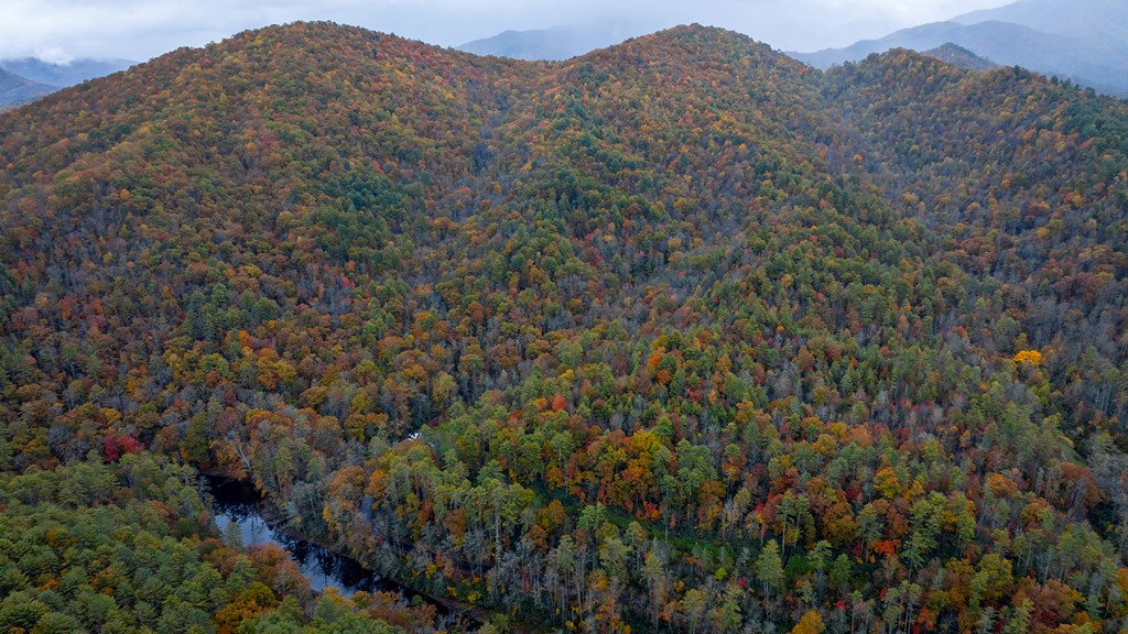 3549p Snowbird Road Property Photo 4