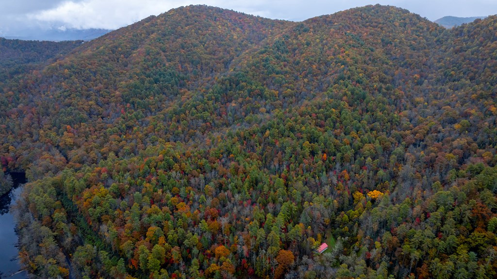 3549p Snowbird Road Property Photo 5