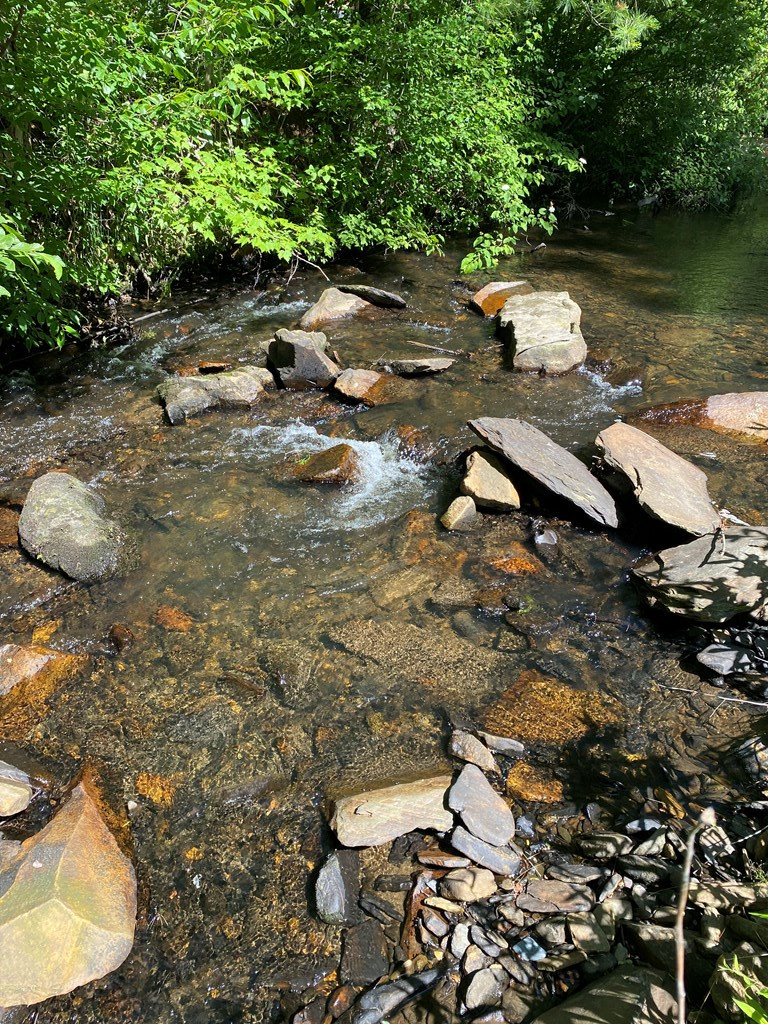 00 Deer Run Property Photo 3
