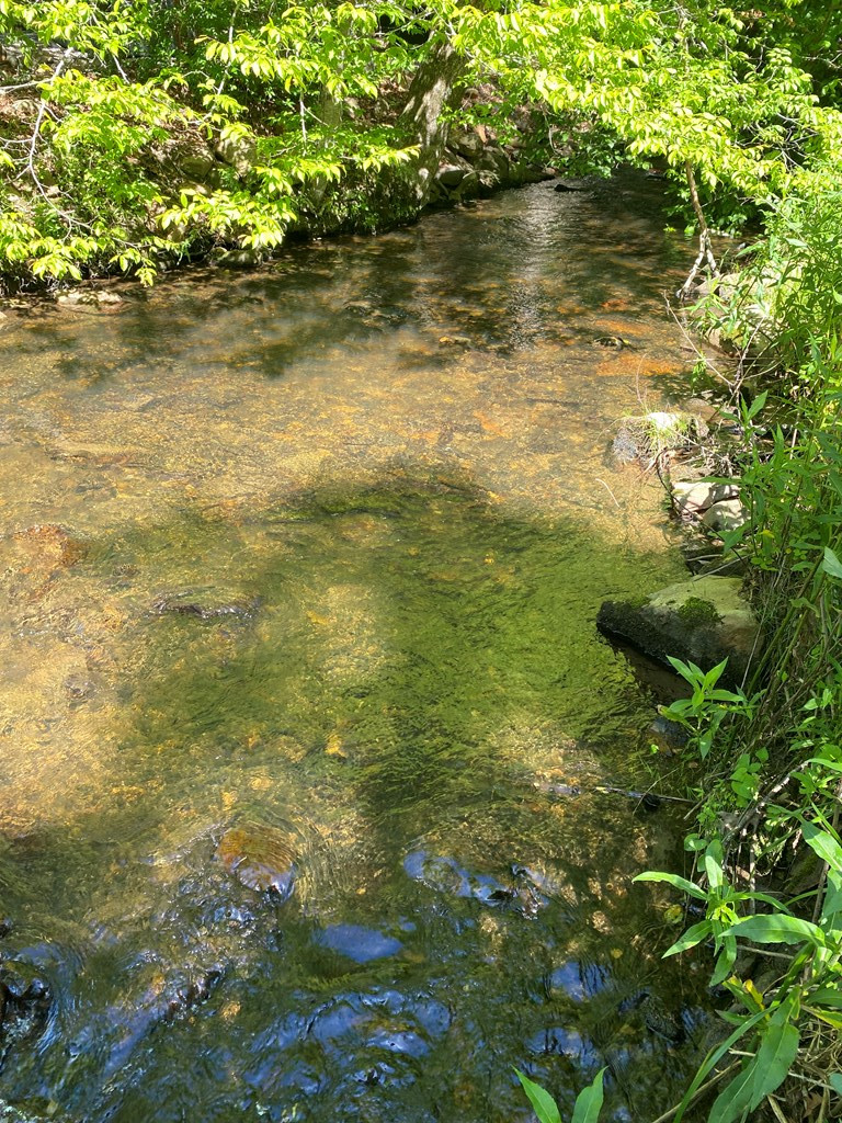 00 Deer Run Property Photo 4
