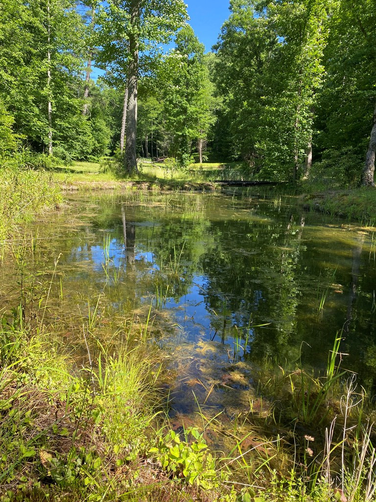 00 Deer Run Property Photo 5