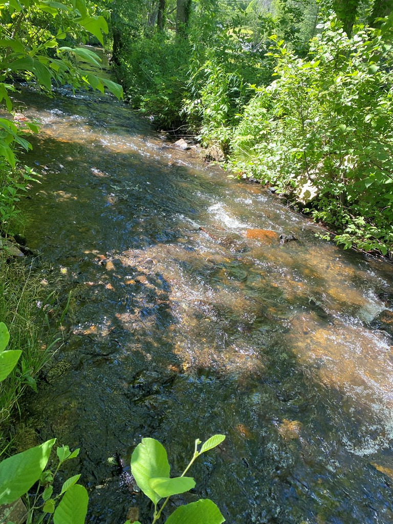00 Deer Run Property Photo 6