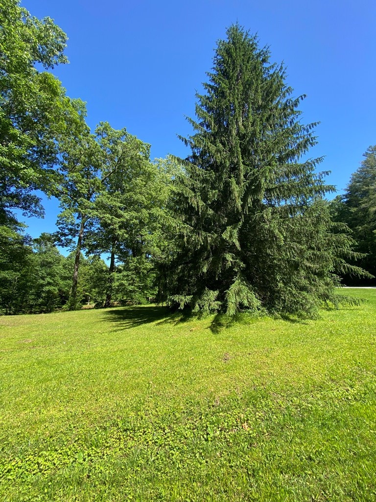 00 Deer Run Property Photo 12