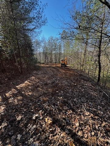 Lot 15 Paradise Property Photo 1