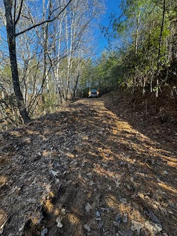 Lot 15 Paradise Property Photo 3