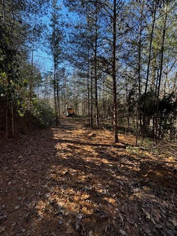 Lot 15 Paradise Property Photo 4