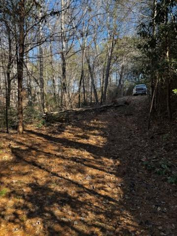 Lot 15 Paradise Property Photo 5