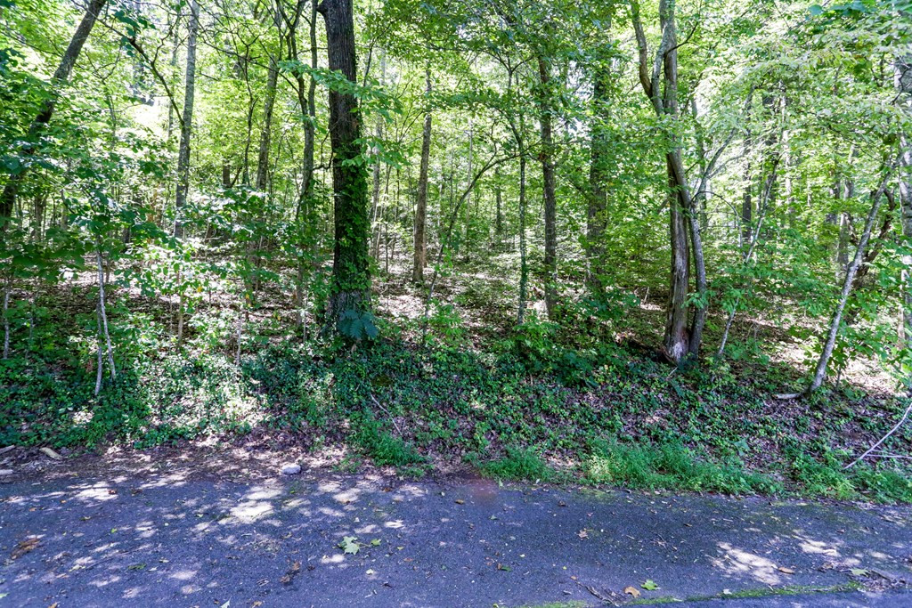 Lot 6 6 Kilpatrick Point Lane Property Photo 5