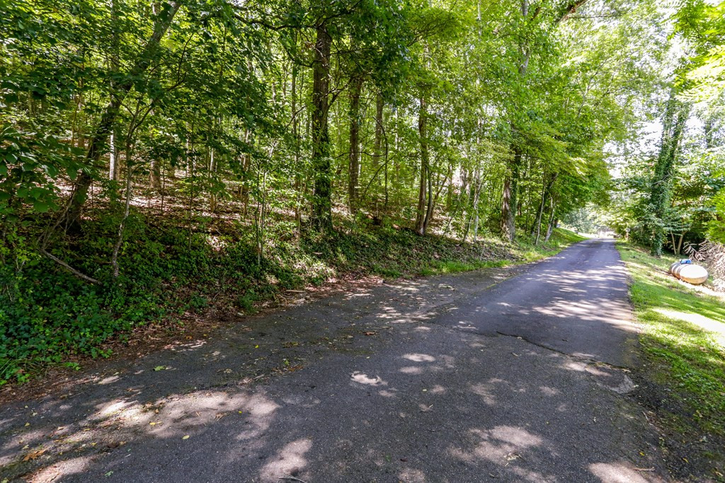 Lot 6 6 Kilpatrick Point Lane Property Photo 6