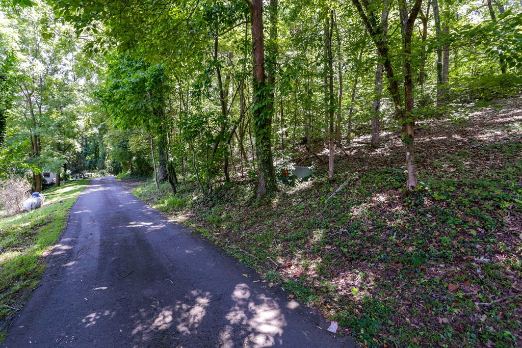 Lot 6 6 Kilpatrick Point Lane Property Photo 7