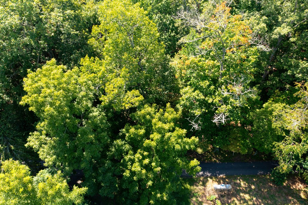 Lot 6 6 Kilpatrick Point Lane Property Photo 9
