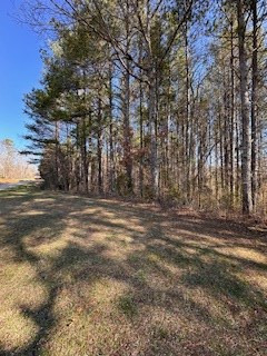00 9-11 Sugar Maple Road Property Photo 5