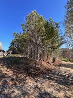 00 9-11 Sugar Maple Road Property Photo 6