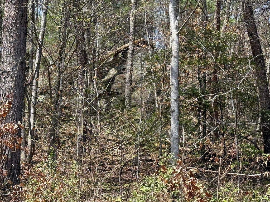 0 Morrow Road Property Photo 1