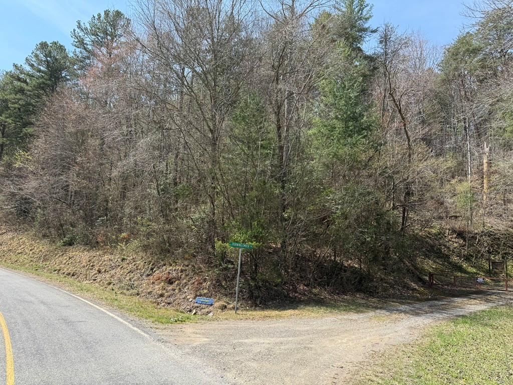 0 Morrow Road Property Photo 2