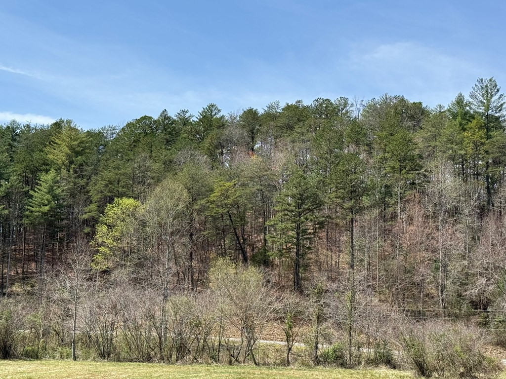 0 Morrow Road Property Photo 3