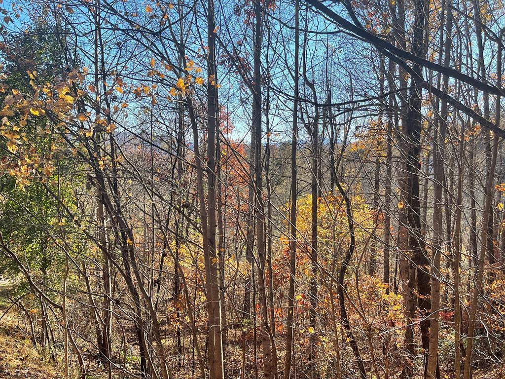 Lot 41c 41C Ash Branch Circle Property Photo 1