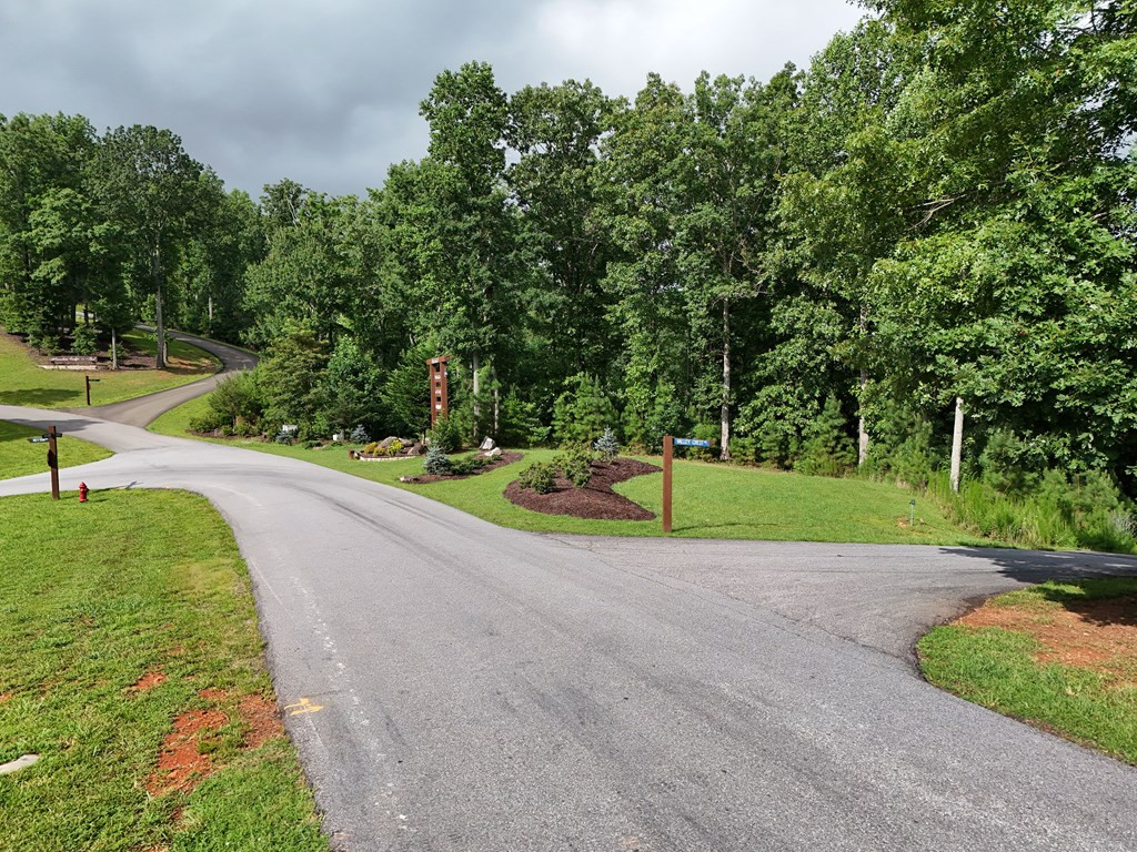 Lot 100 Valley Crest Drive Property Photo 4