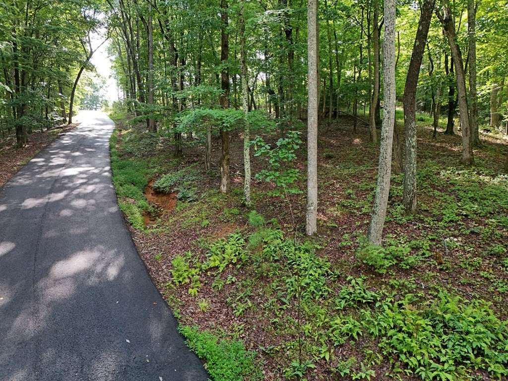Lot 100 Valley Crest Drive Property Photo 33