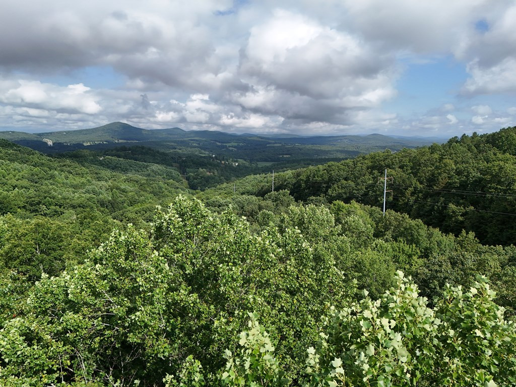 Lot 100 Valley Crest Drive Property Photo 37
