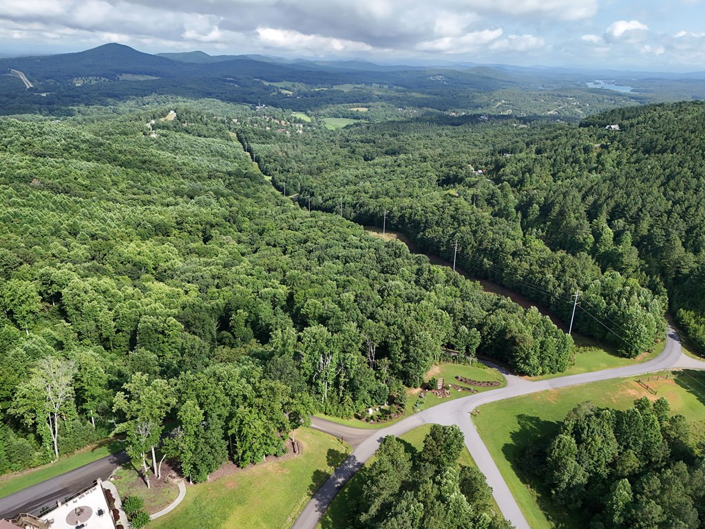 Lot 100 Valley Crest Drive Property Photo 46