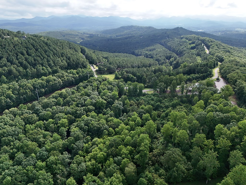 Lot 100 Valley Crest Drive Property Photo 49