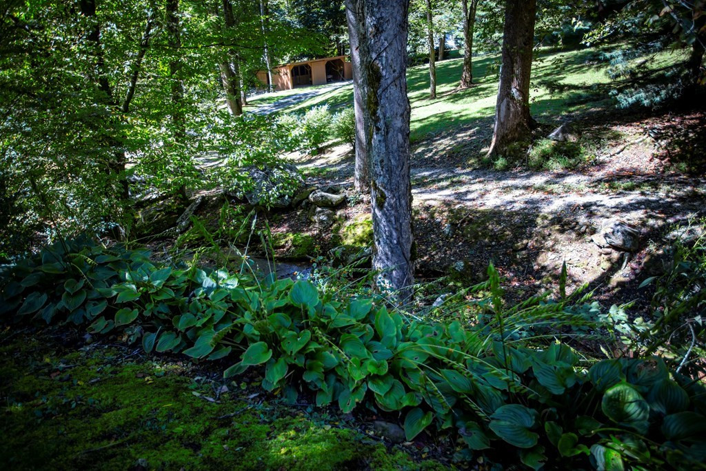 1620 E Buffalo Road Property Photo 37