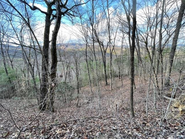 Lt 75e&f 75e&f Turkey Walk Drive Property Photo 6