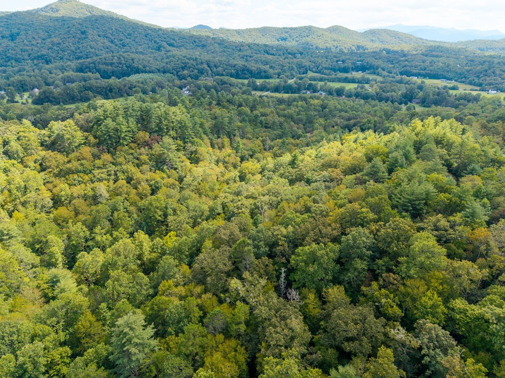 26.98 Ac Tr 2 Tusquittee Property Photo 6