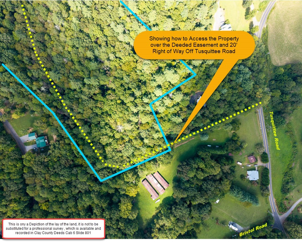 26.98 Ac Tr 2 Tusquittee Property Photo 7
