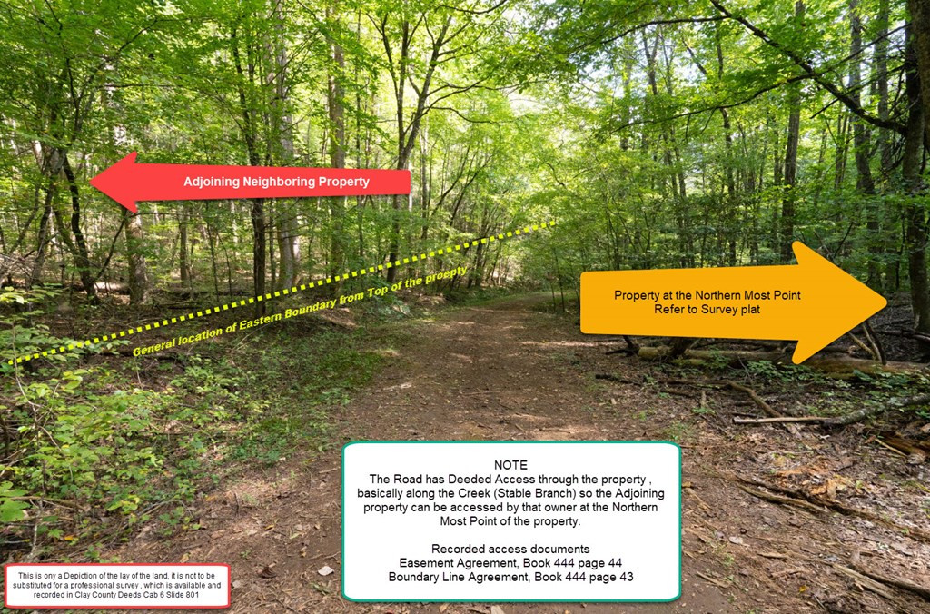 26.98 Ac Tr 2 Tusquittee Property Photo 25