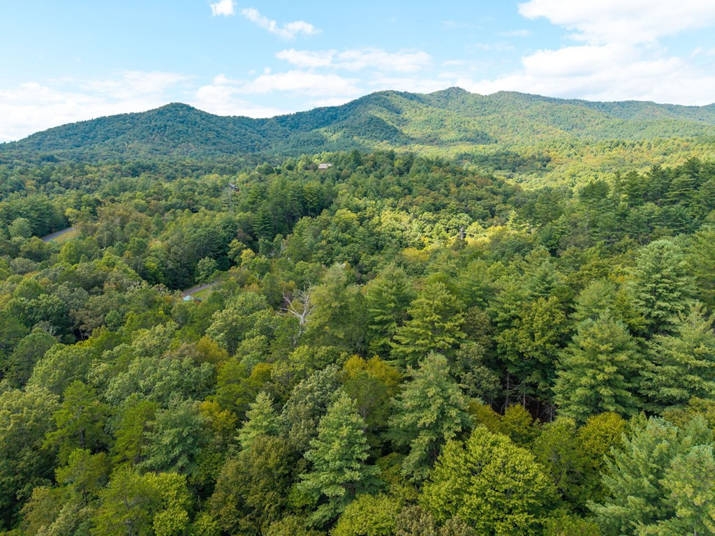 26.98 Ac Tr 2 Tusquittee Property Photo 32